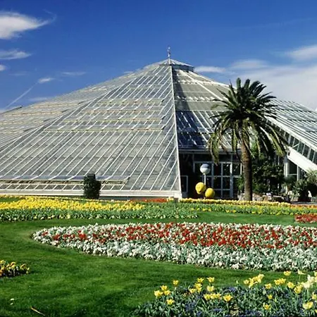 Homestay szállás Promenade Des Anglais